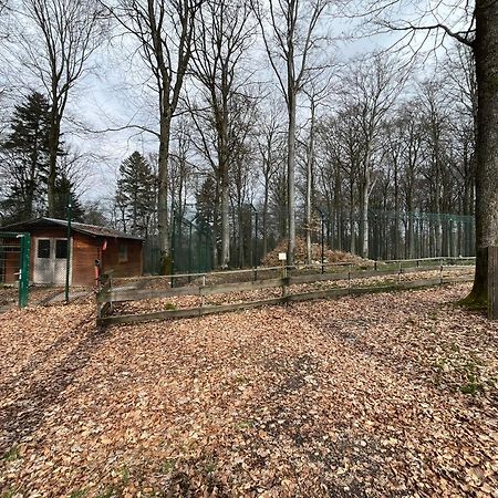 Hochwald Lodge Morbach Eksteriør billede